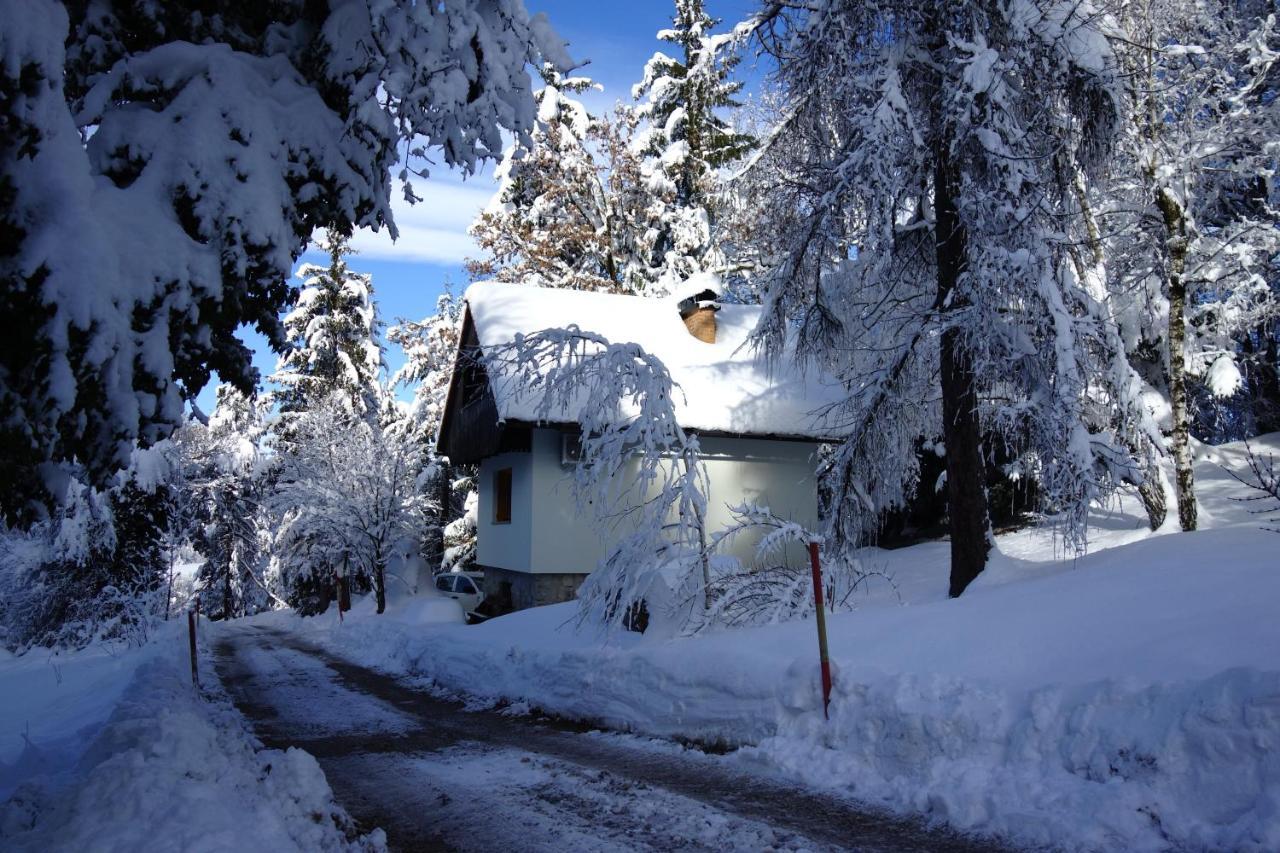 Forest House Villa Vrhnika Exterior foto