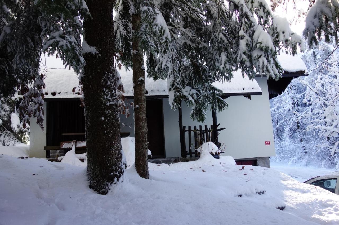 Forest House Villa Vrhnika Exterior foto